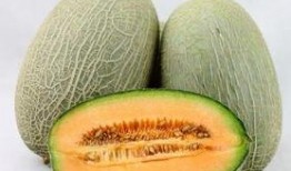 姐妹们吃哈密瓜