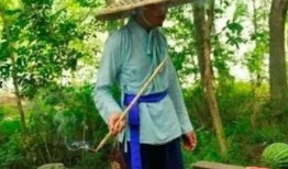 祥子吃瓜,揭秘民国时期市井百态