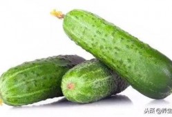 吃瓜尿酸高吗,尿酸高与吃瓜的关系探究