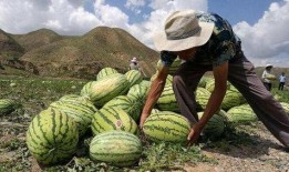 创造营吃瓜基地,吃瓜基地揭秘，明星幕后故事大曝光