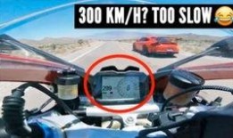 兰博看吃瓜,揭秘娱乐圈幕后真相