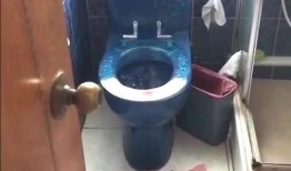 带你吃瓜弹射马桶,颠覆传统，畅快淋漓的如厕新体验