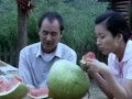 农村夫妇吃瓜,农村夫妇的甜蜜生活瞬间