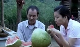 农村夫妇吃瓜,农村夫妇的甜蜜生活瞬间