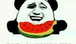 吃瓜群众就是爽,畅享围观之乐