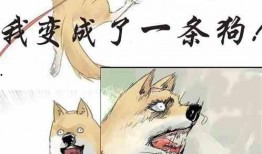 吃瓜小林小说在线阅读,揭秘小说世界中的瓜田奇遇